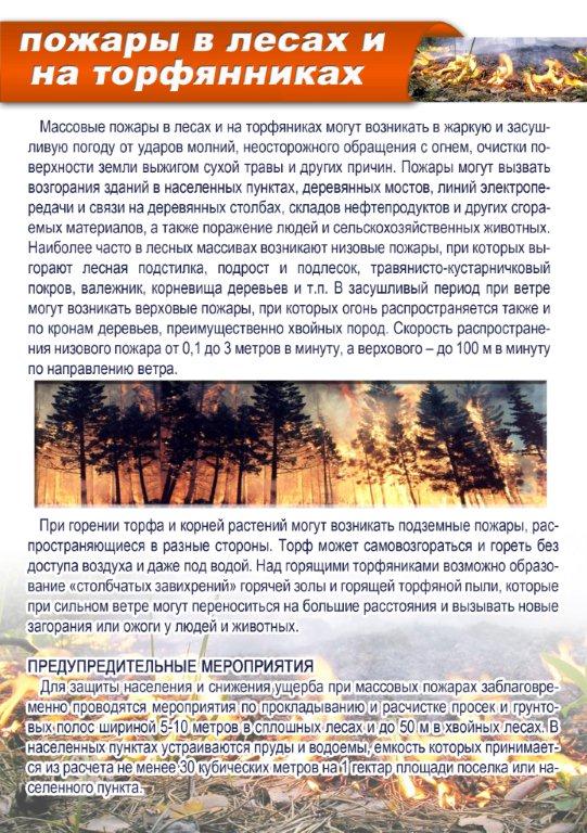pamjatka-pozhary_v_lesakh_i_na_torfjannikakh.jpg